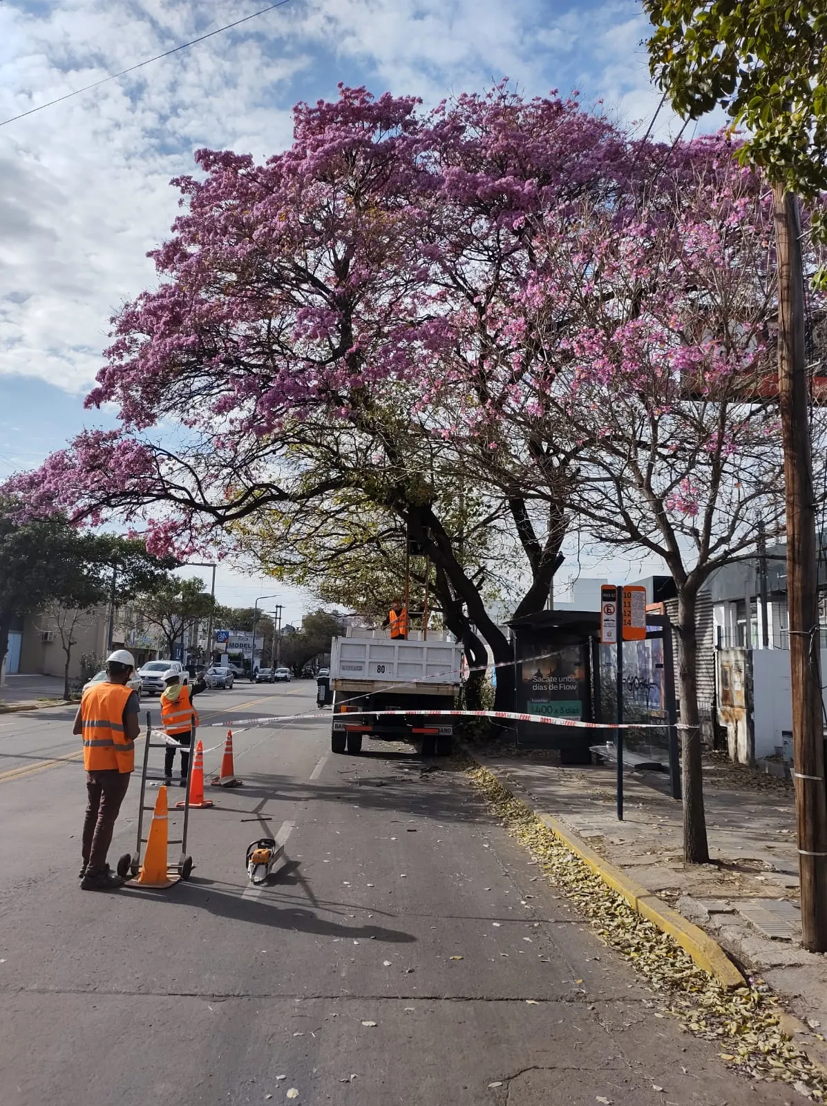 Obra 1