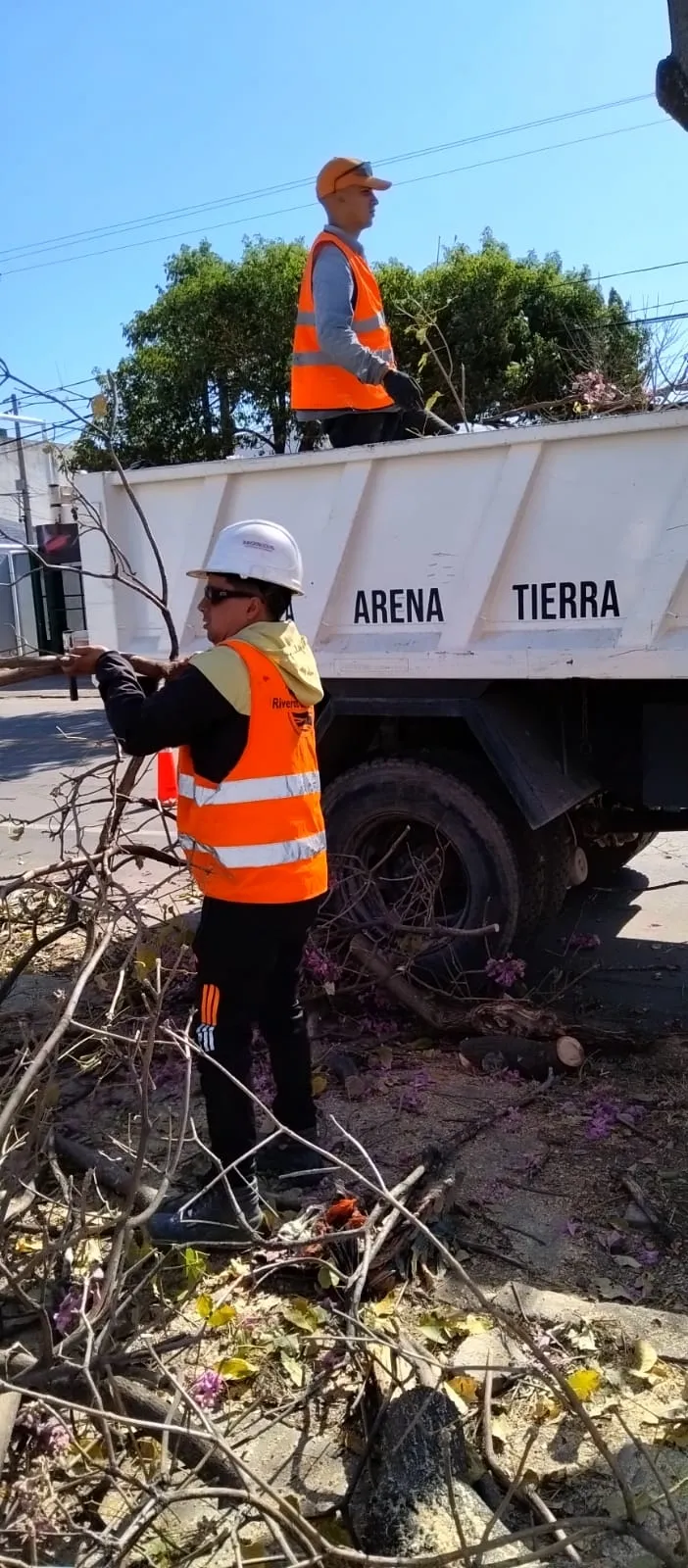 Obra 5